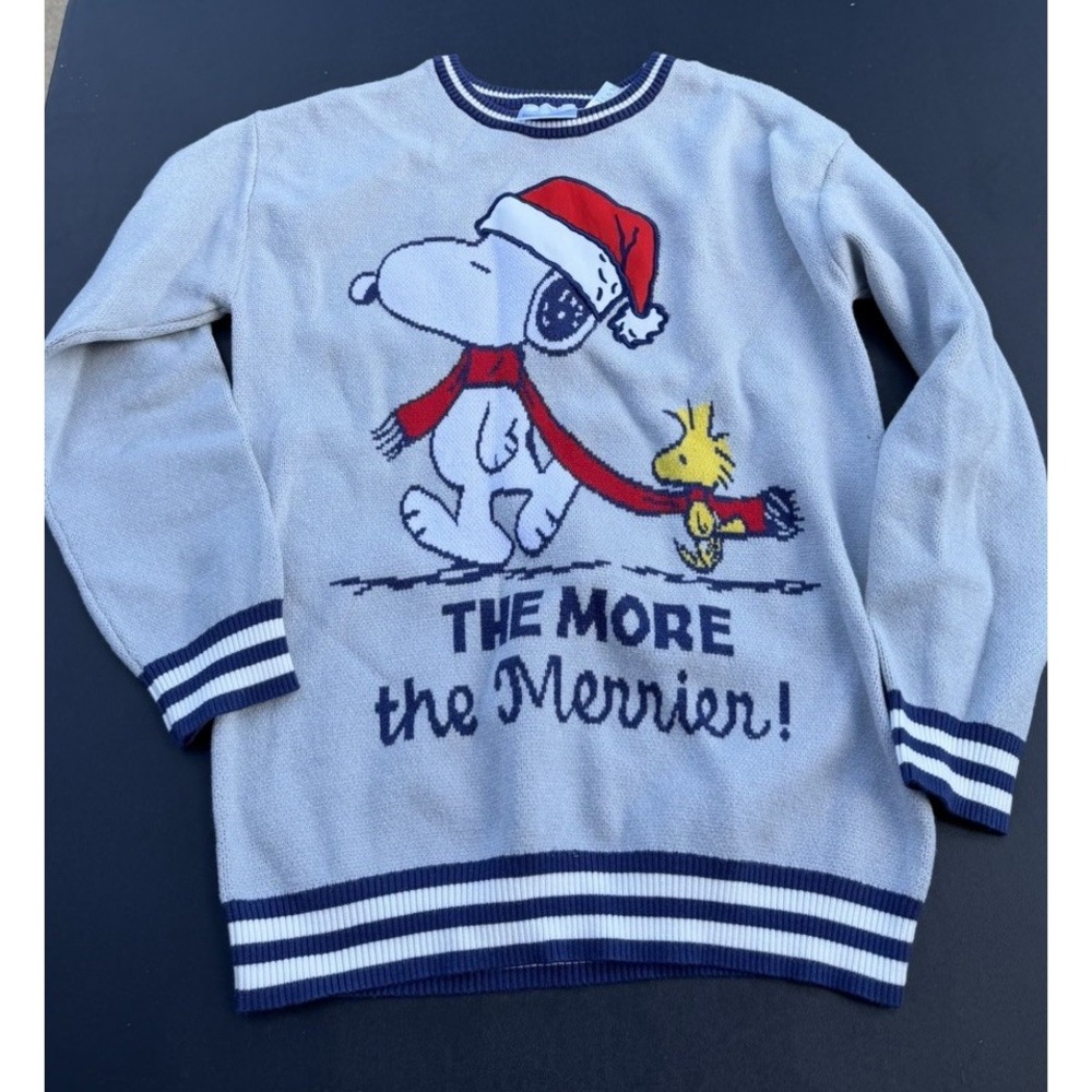 Peanuts Snoopy Woodstock Christmas Sweater Large 14/16 Gray Blue Red